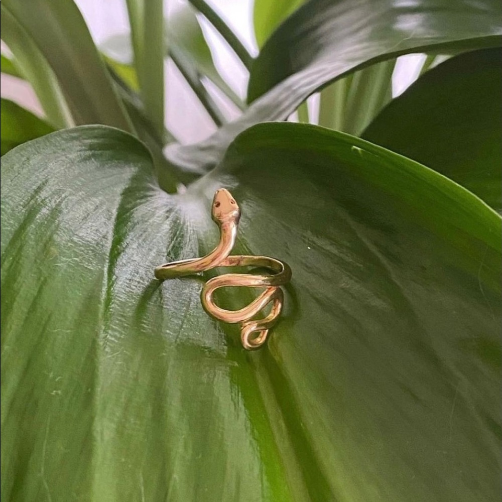 snake ring